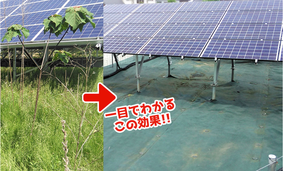 一目でわかるこの効果！！