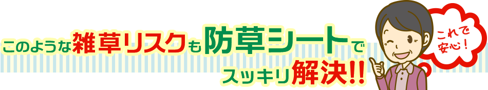 このような雑草リスクも防草シートでスッキリ解決！