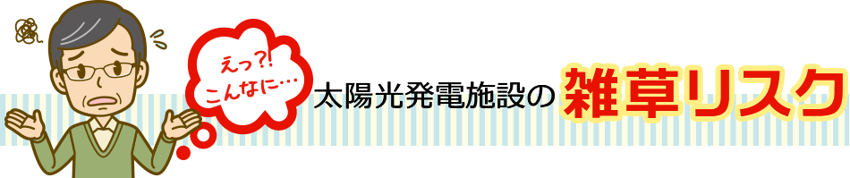 太陽光発電施設の雑草リスク