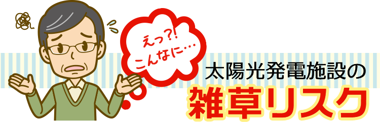 太陽光発電施設の雑草リスク