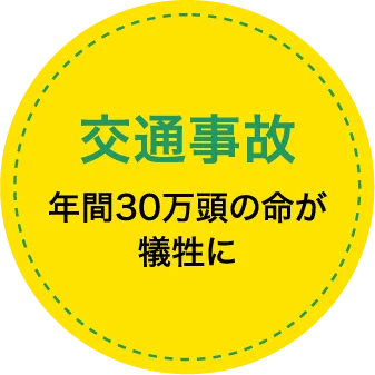 「交通事故」年間30万頭の命が犠牲に