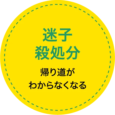 「迷子殺処分」帰り道がわからなくなる